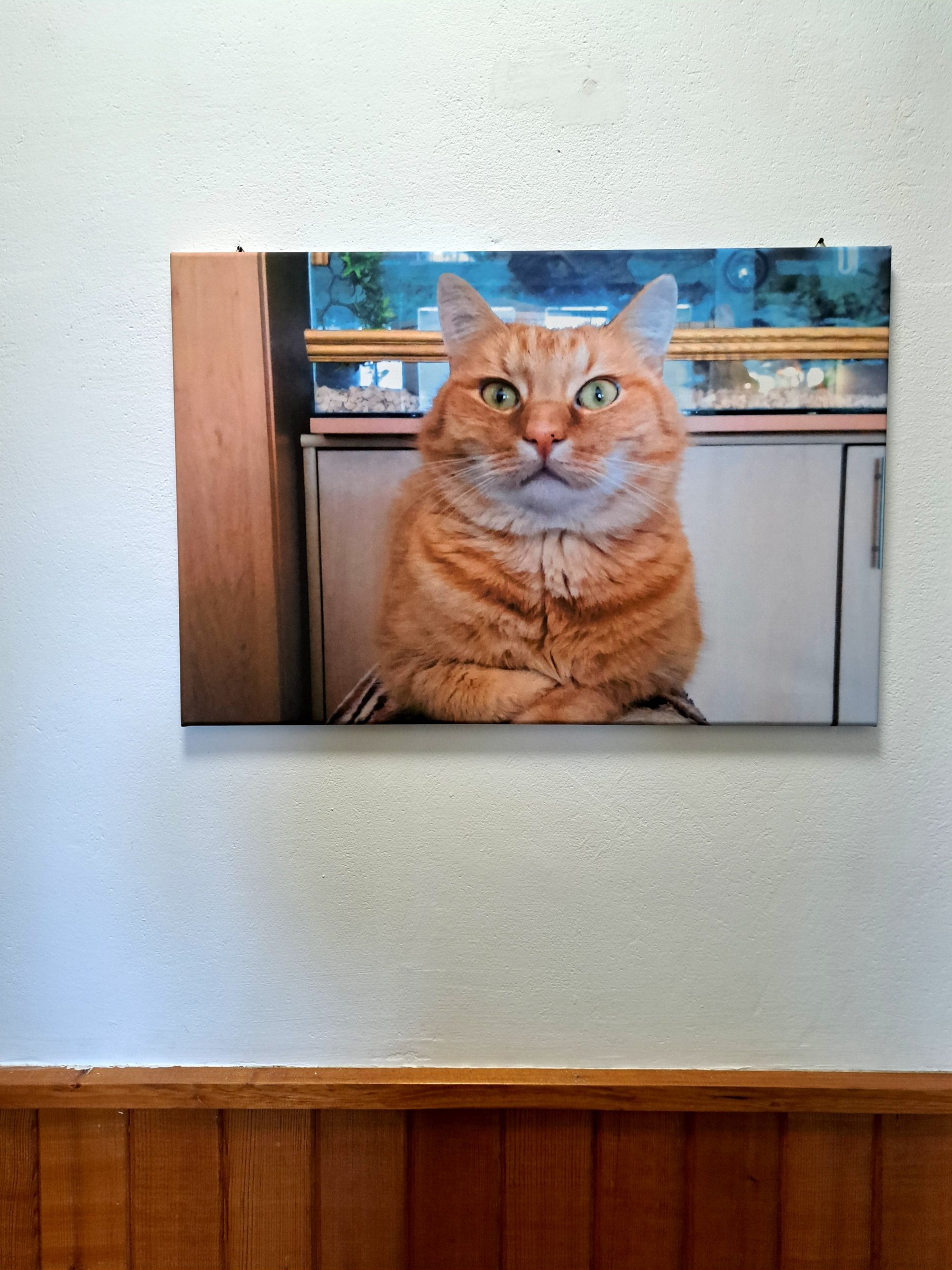 Foto od zákazníka